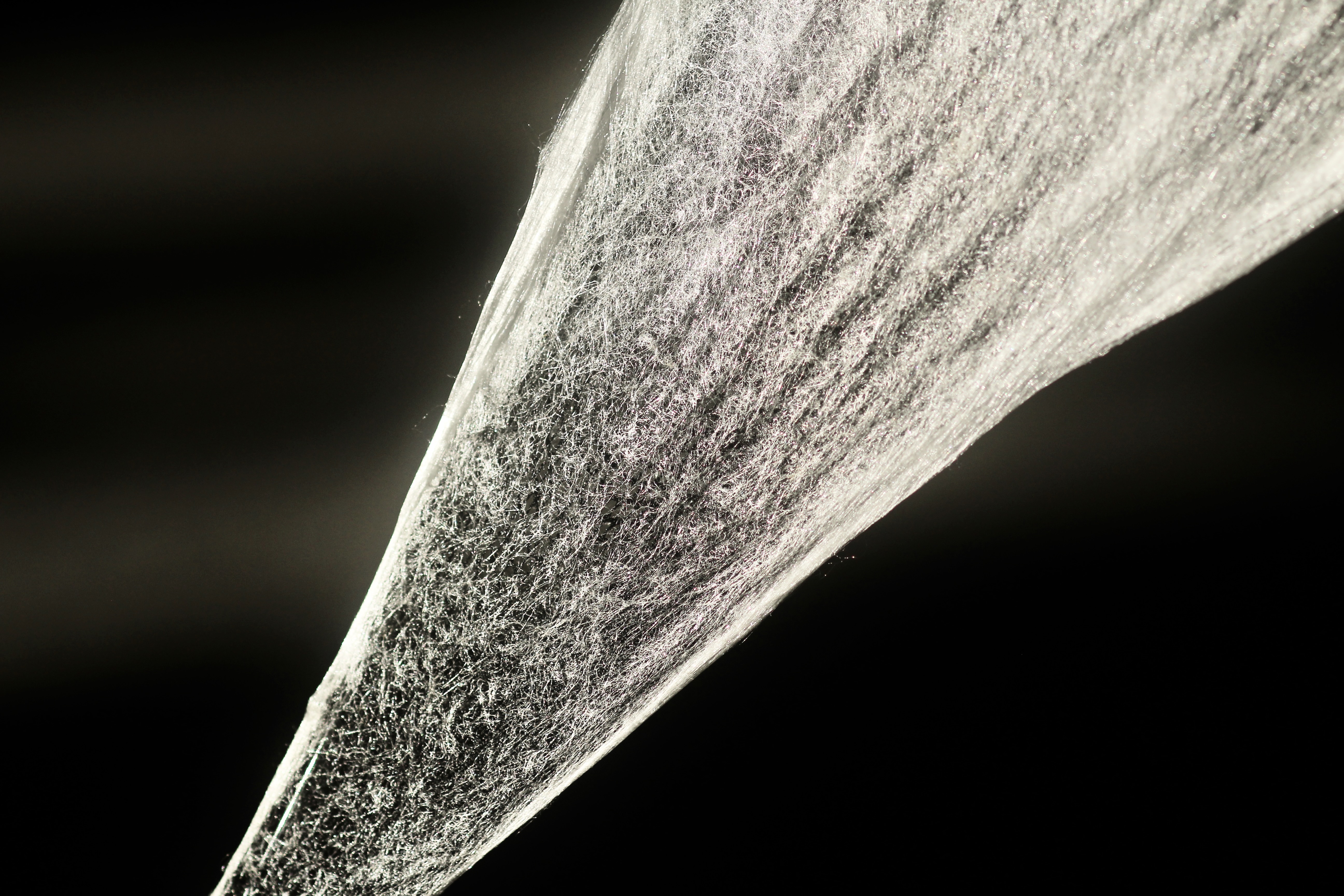 SILK-BioCraft Image 2